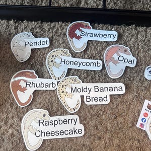 Etsy buyer added a photo of their purchase