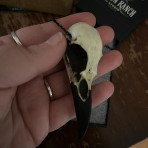 Bone Jewelry Raven Skull Necklace, Bird Skull, Gothic Jewelry, Goth Gift, Oddities and Curiosities, Witchy, Viking Pendant, 2.75 inches