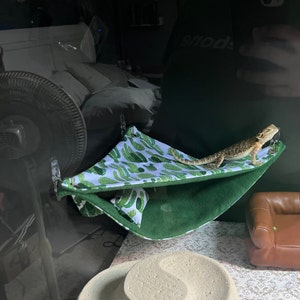Lillian added a photo of their purchase