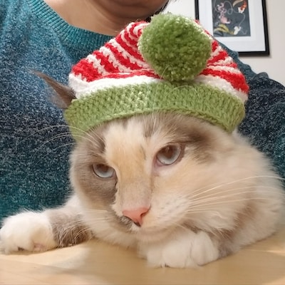 Elf Hat for Cat, Christmas Pet Costume, Christmas Kitten Outfit, Elf