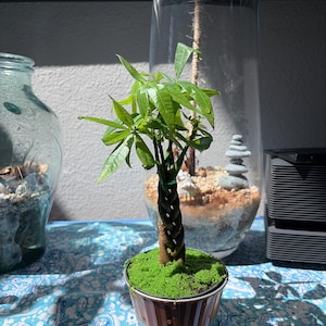 Kathlyn added a photo of their purchase