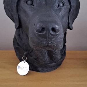 Mike added a photo of their purchase