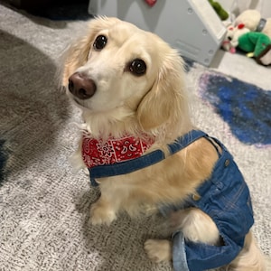 Stacy a ajouté une photo de son achat
