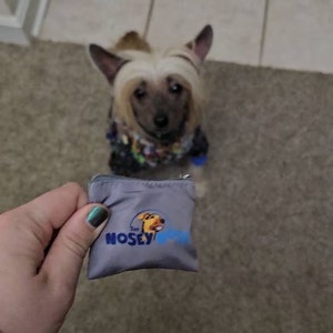 The Nosey Nose: Nosework Scentwork Training for Dogs Puzzle Brain Games,  Anise Scent (Zipper Pouch)