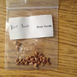 Shea added a photo of their purchase