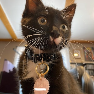 Amanda ha añadido una foto de su compra