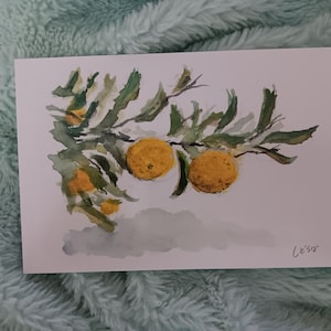 Martha hat ein Foto des gekauften Artikels hinzugefügt