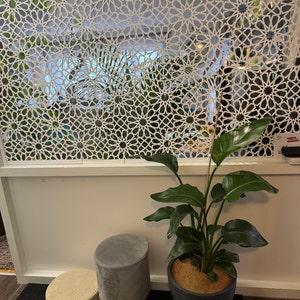 Alexandra added a photo of their purchase
