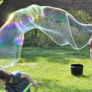 LisaMarie added a photo of their purchase