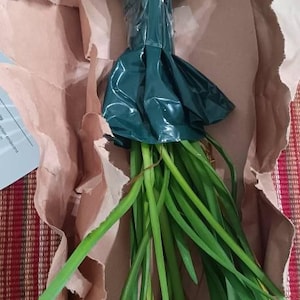 Etsy buyer added a photo of their purchase