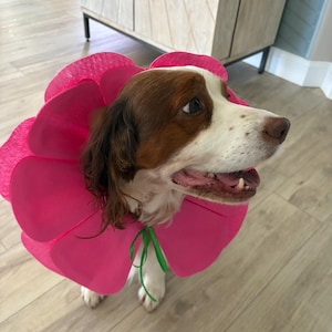 Debra added a photo of their purchase