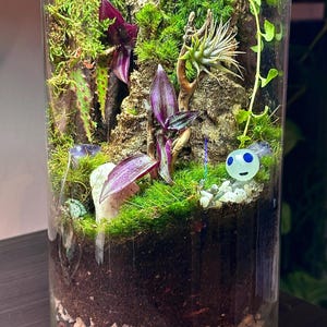 Mark added a photo of their purchase