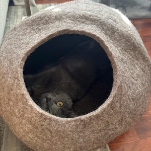 Camden added a photo of their purchase