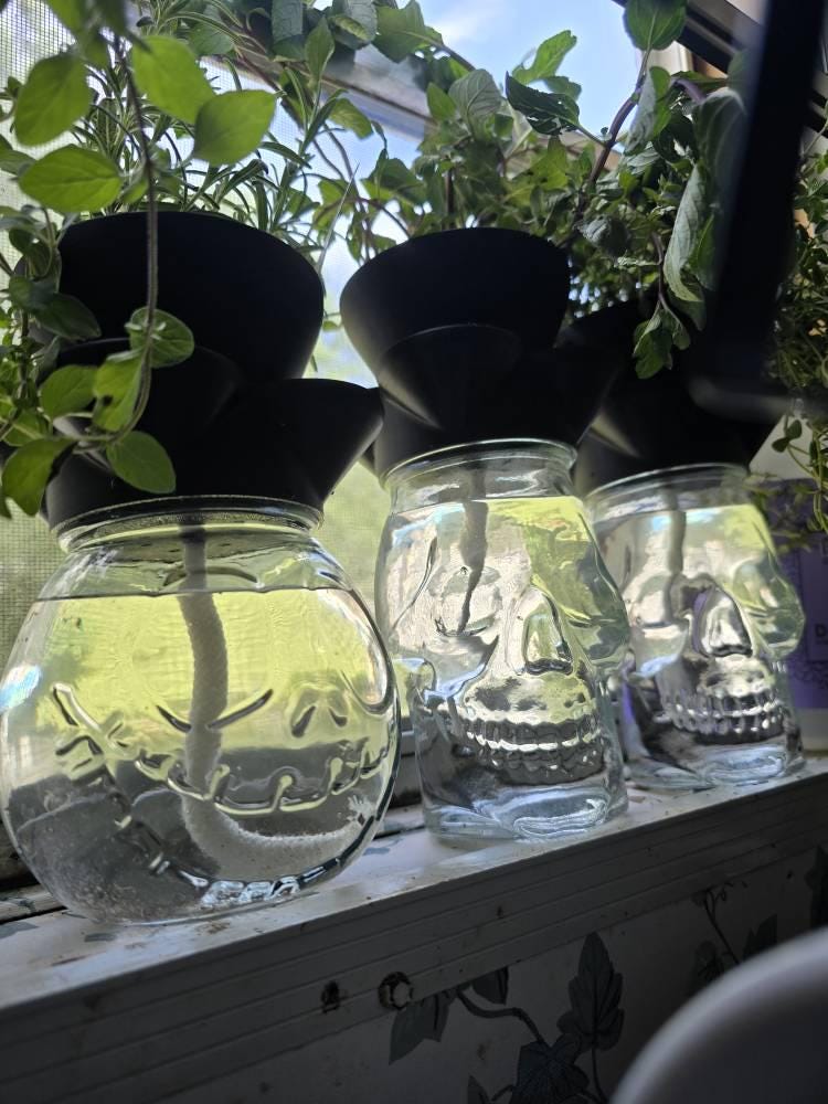 Self-Watering Mason Jar Planter – Indoor Herb Gardening – Low-Maintenance, Hydroponic-Inspired Growing System