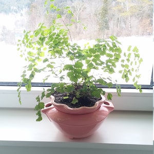 Maia ha añadido una foto de su compra