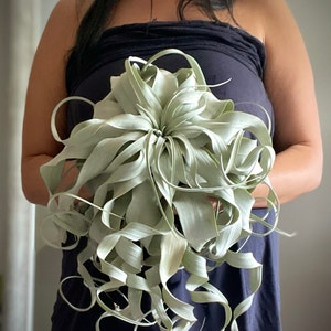 sabella added a photo of their purchase