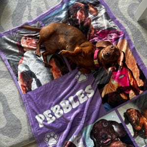 Amethyst added a photo of their purchase