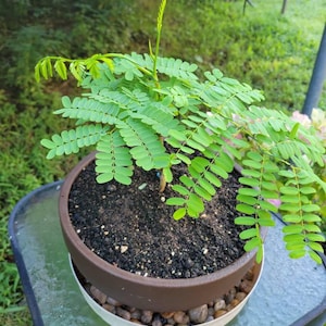 Gloria added a photo of their purchase