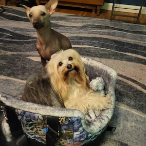 Nicole added a photo of their purchase