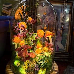 Kim added a photo of their purchase