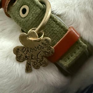 Clover Shaped Pet Tag: Stars Design, Celtic, Shamrock