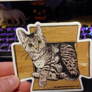 Lora a ajouté une photo de son achat