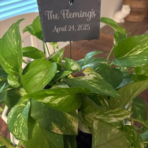 kelli added a photo of their purchase