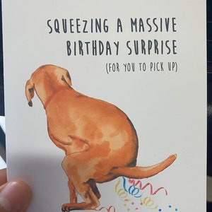 Lustige Geburtstagskarte Mit Labrador-Witz – Birthdays Are Good For You, Blanko Innen, Mit Umschlag, 15x15 Cm
