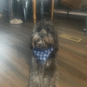 Melissa ha añadido una foto de su compra