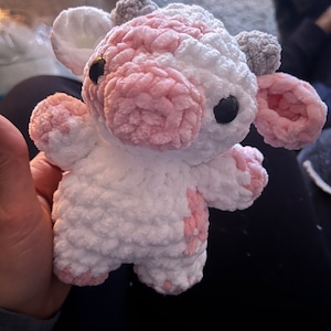 Olivia added a photo of their purchase