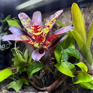 Jamye added a photo of their purchase