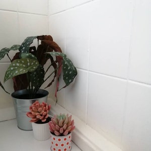 Alexandra added a photo of their purchase