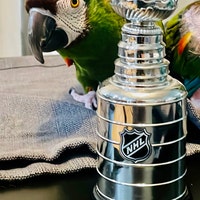 Vintage Fram Oil Filter Coin Bank 35th Anniversary Canadian Tire - Etsy ...