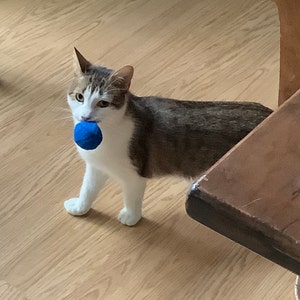 Bonnie added a photo of their purchase