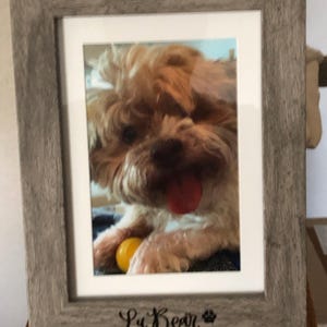 David added a photo of their purchase