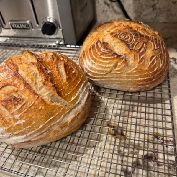 Josh Perna Organic Authentic Italian LIQUID Sourdough Starter- 100+ Years Old ...