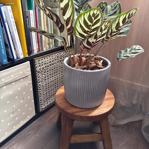 Charlie added a photo of their purchase