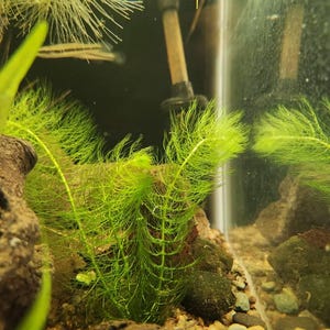 Robby hat ein Foto des gekauften Artikels hinzugefügt