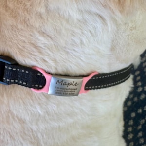 Tina added a photo of their purchase