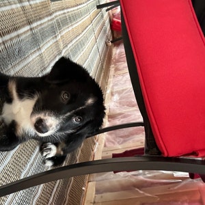 Angela ha aggiunto una foto del proprio acquisto