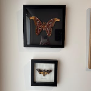 Christopher added a photo of their purchase