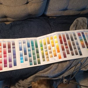 Alina added a photo of their purchase