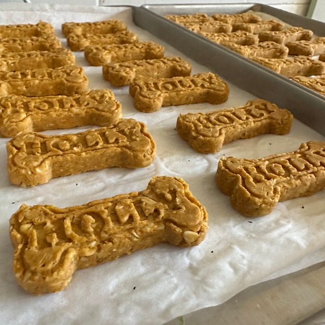 Custom Dog Treat Mold – Siligrams