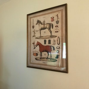 Lola added a photo of their purchase