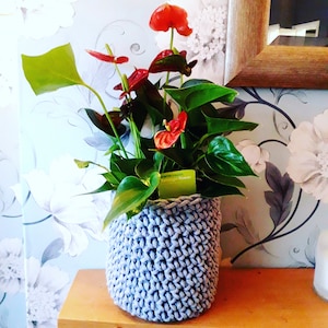 Hanna added a photo of their purchase