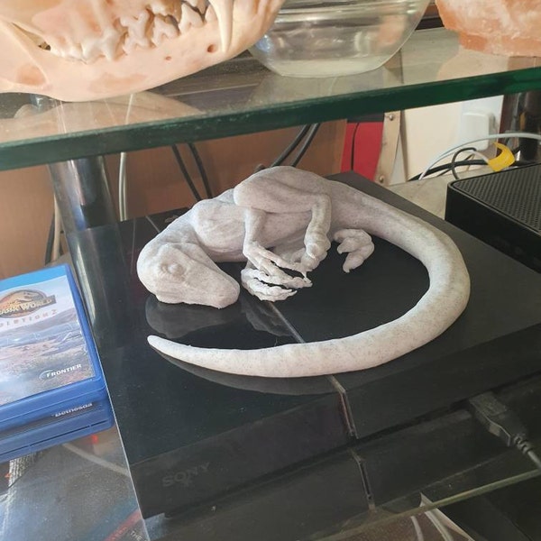 Sleeping Baby Velociraptor Art - Dinosaur - 3D Printed - Multiple ...