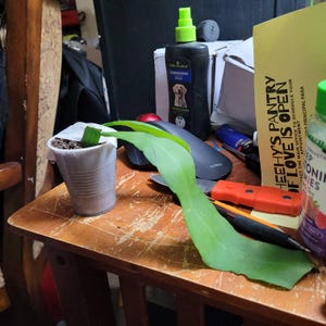 Rhoda added a photo of their purchase