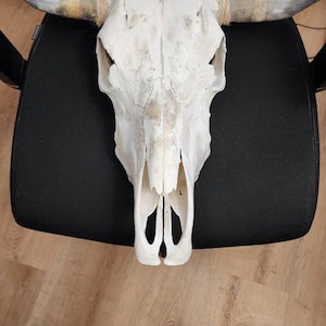 Lorrain added a photo of their purchase