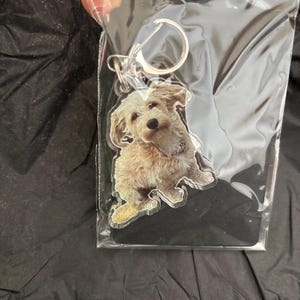 Tamsyn added a photo of their purchase