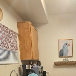 Patricia added a photo of their purchase